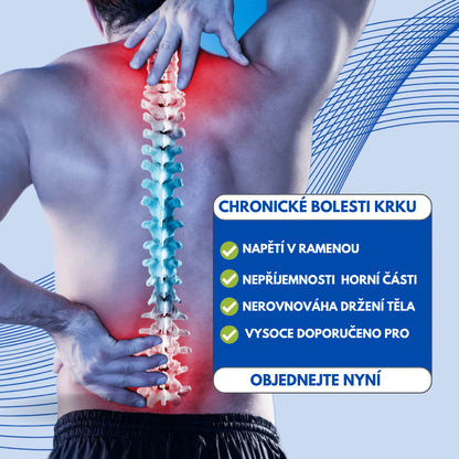 VizeUp Posture Align Pro